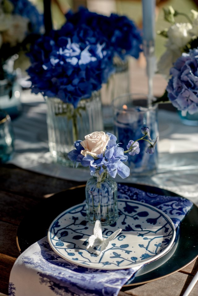 China blue elopement