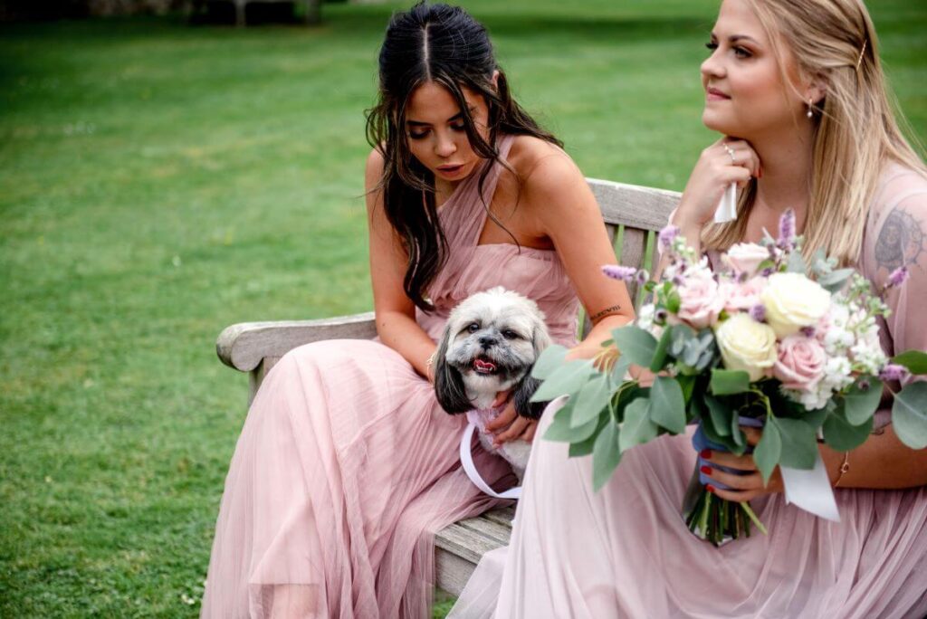 Dolly a Shih Tzu appears to smile when Aidan and Rachel say I do at the Castle Westenhanger, Kent, England