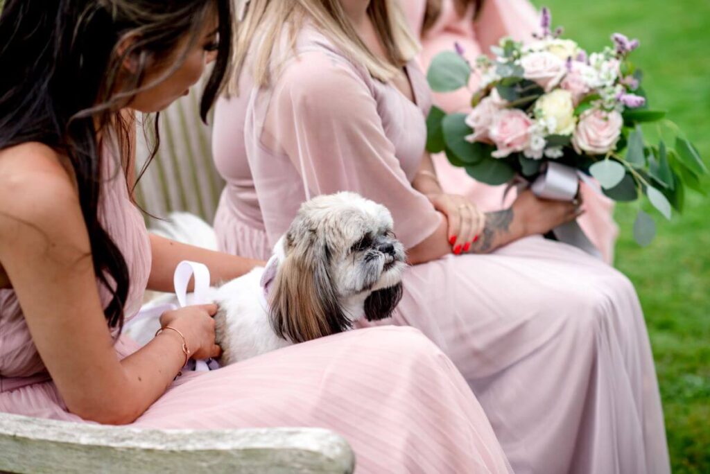 Dolly a Shih Tzu appears to smile when Aidan and Rachel say I do at the Castle Westenhanger, Kent, England