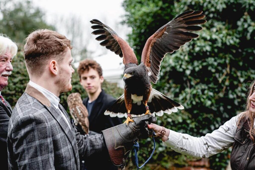 Emma and Paul's purple and red elopement with birds of prey at the Castle Westenhanger in Kent