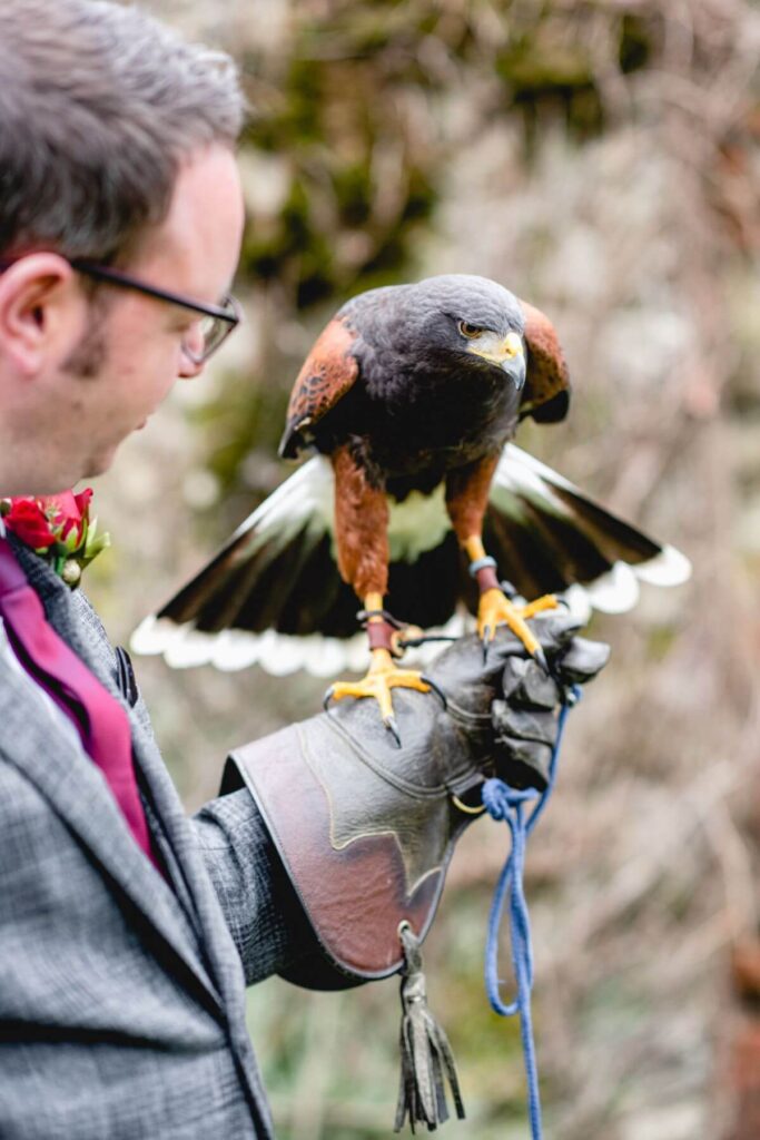 Emma and Paul's purple and red elopement with birds of prey at the Castle Westenhanger in Kent