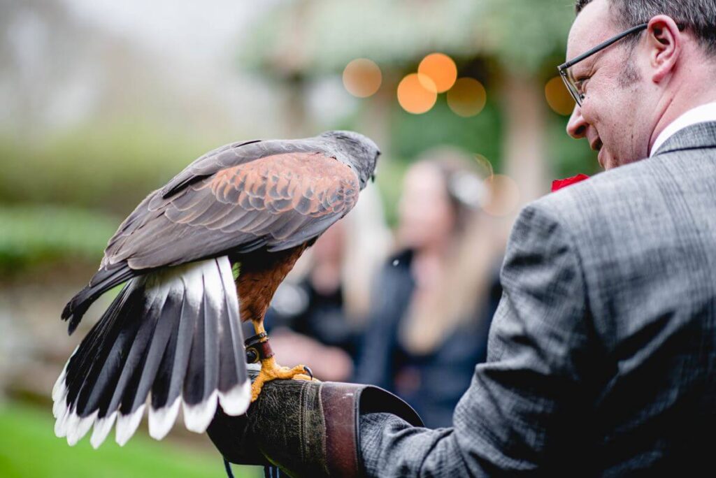 Emma and Paul's purple and red elopement with birds of prey at the Castle Westenhanger in Kent