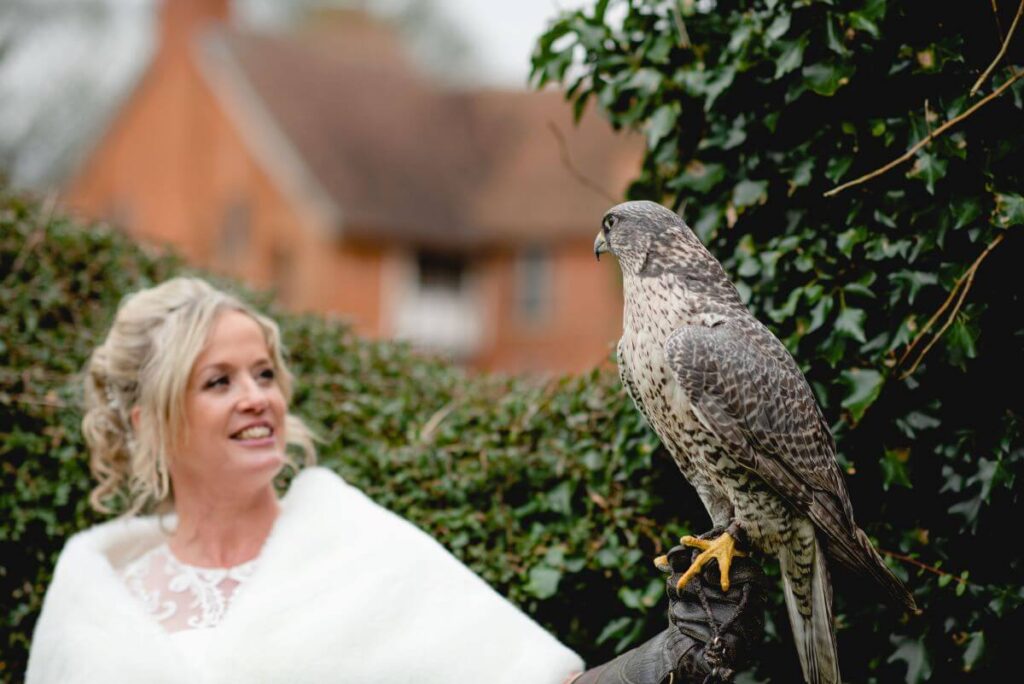 Emma and Paul's purple and red elopement with birds of prey at the Castle Westenhanger in Kent