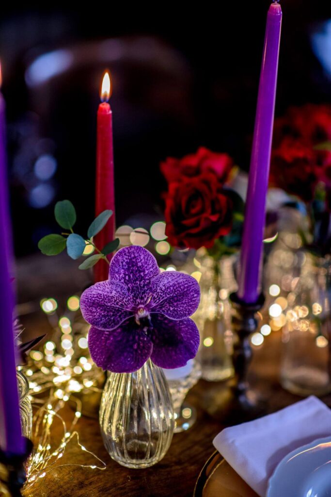 Emma and Paul's purple and red elopement with birds of prey at the Castle Westenhanger in Kent